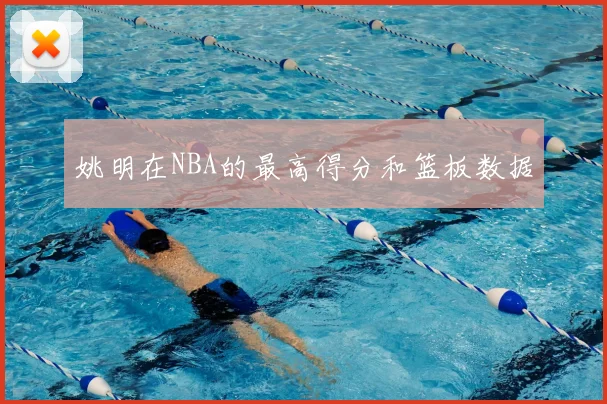 姚明在NBA的最高得分和篮板数据