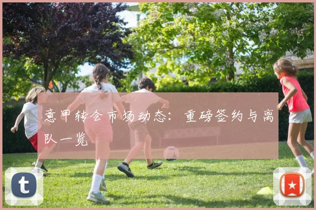 意甲转会市场动态：重磅签约与离队一览