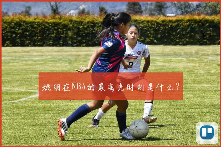 姚明在NBA的最高光时刻是什么？