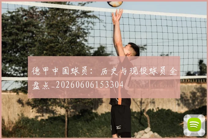 德甲中国球员:历史与现役球员全盘点_20260606153304